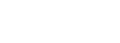 Brains Network